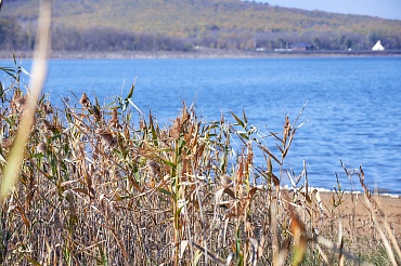 Государственный природный заказник федерального значения «Тамбукан»