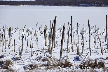 Государственный природный заказник федерального значения «Тамбукан»