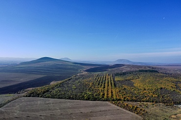 Государственный природный заказник федерального значения «Тамбукан»