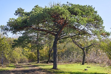 Государственный природный заказник федерального значения «Тамбукан»