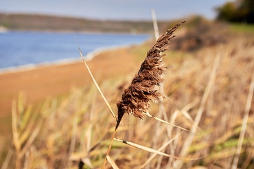 Государственный природный заказник федерального значения «Тамбукан»